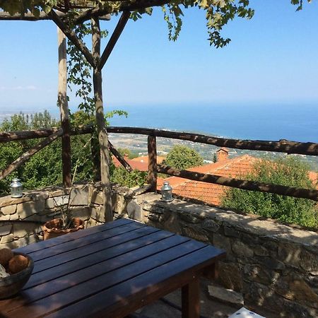 Villa Pasithea Panteleimon Dış mekan fotoğraf